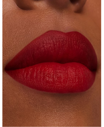 ESTEE LAUDER PURE COLOR MATTE LIPSTICK